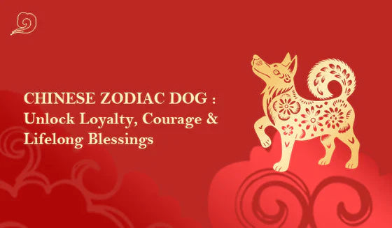 Chinese Zodiac Dog : Unlock Loyalty, Courage & Lifelong Blessings