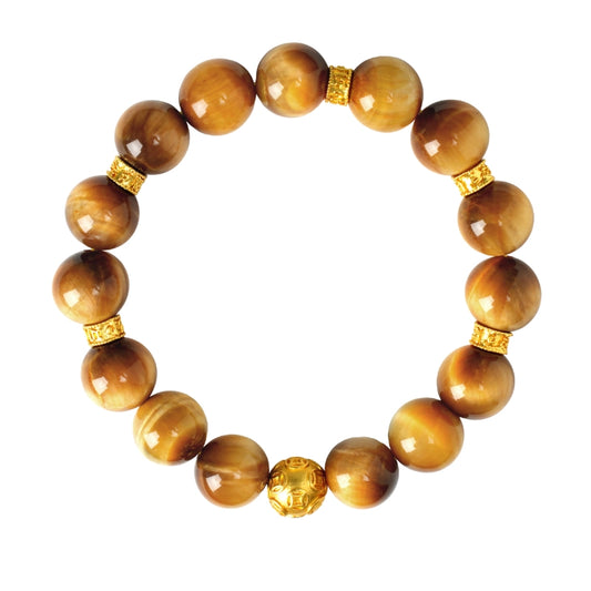 Sharp focus, career rising